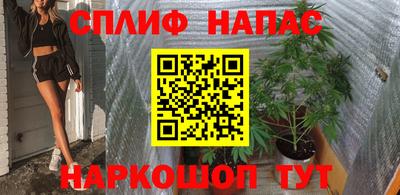 гашик Новозыбков