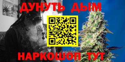 гашик Новозыбков