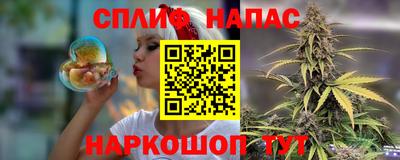 альфа пвп Новокубанск