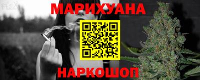 гашик Новозыбков