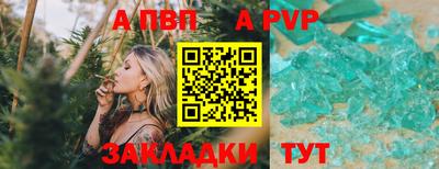 гашик Новозыбков