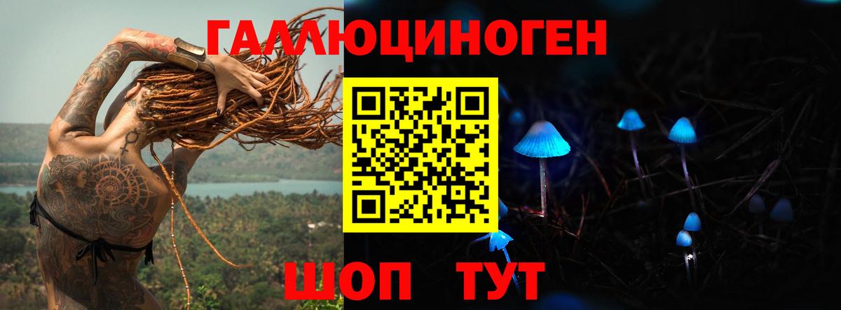 Тверь  Псилоцибиновые грибы мухоморы  Вход с VPN  Псилоцибиновые грибы MAGIC MUSHROOMS 